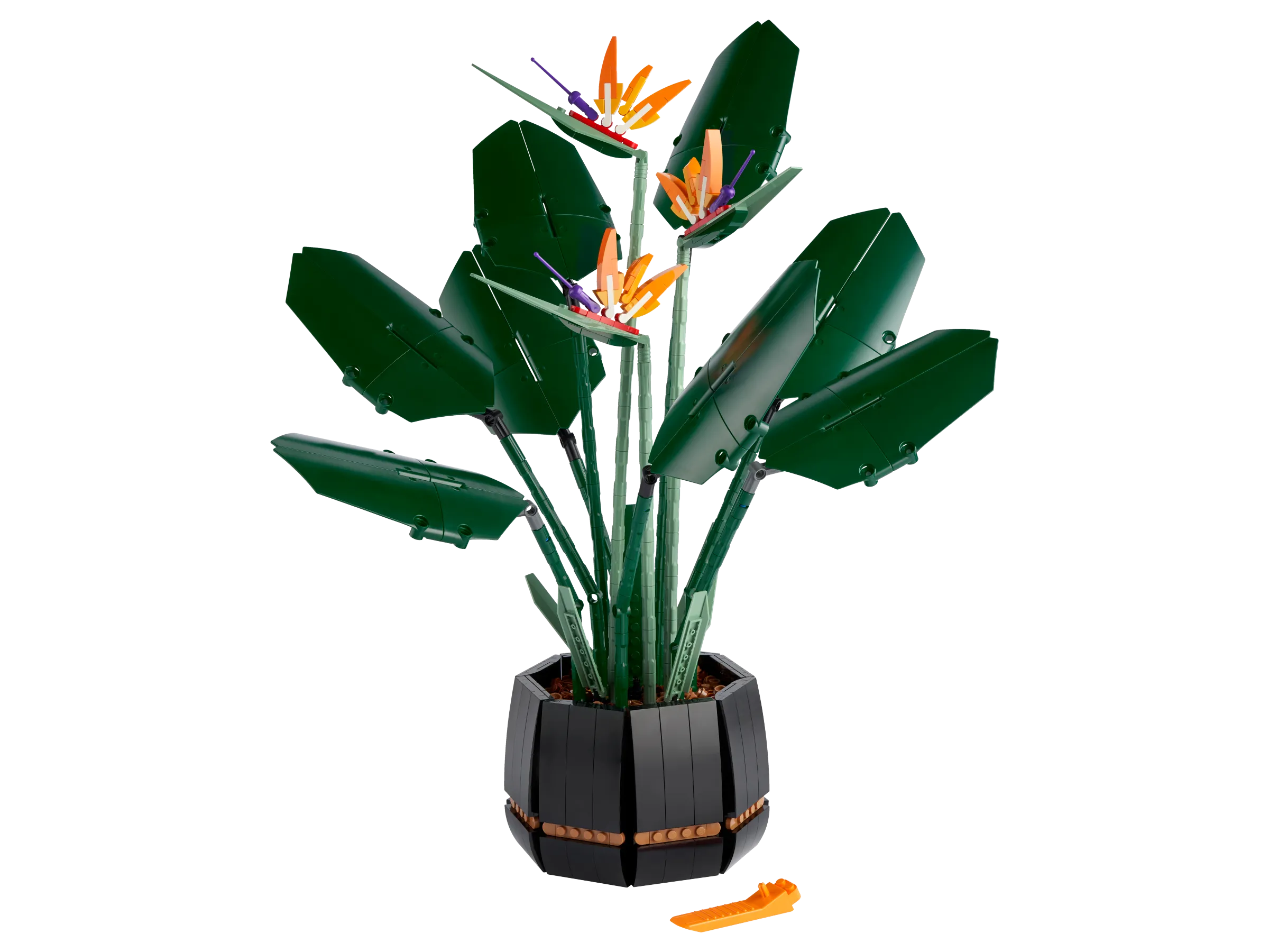LEGO 10289-1 Bird of Paradise