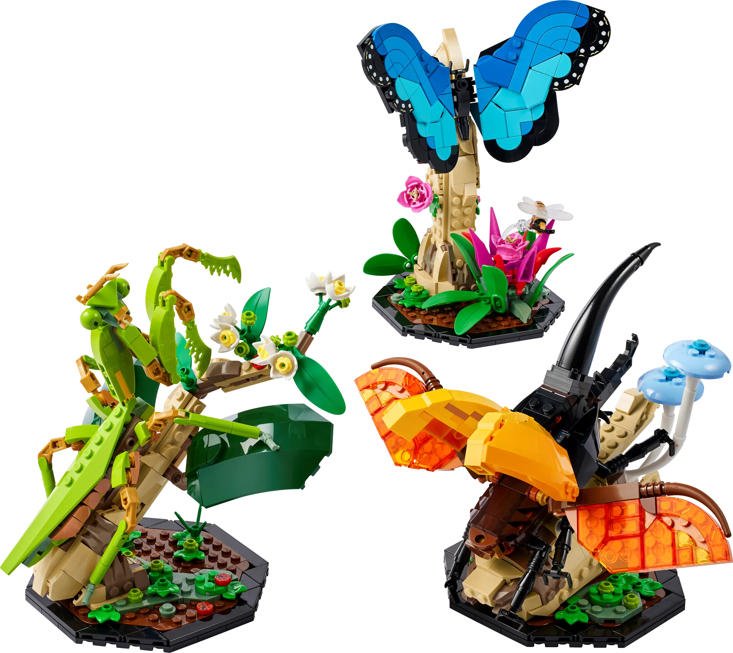 LEGO 21342-1 The Insect Collection