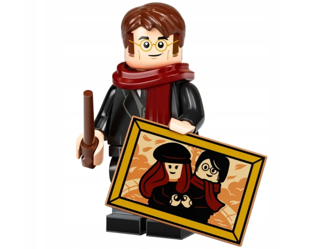 LEGO 71028-8 James Potter
