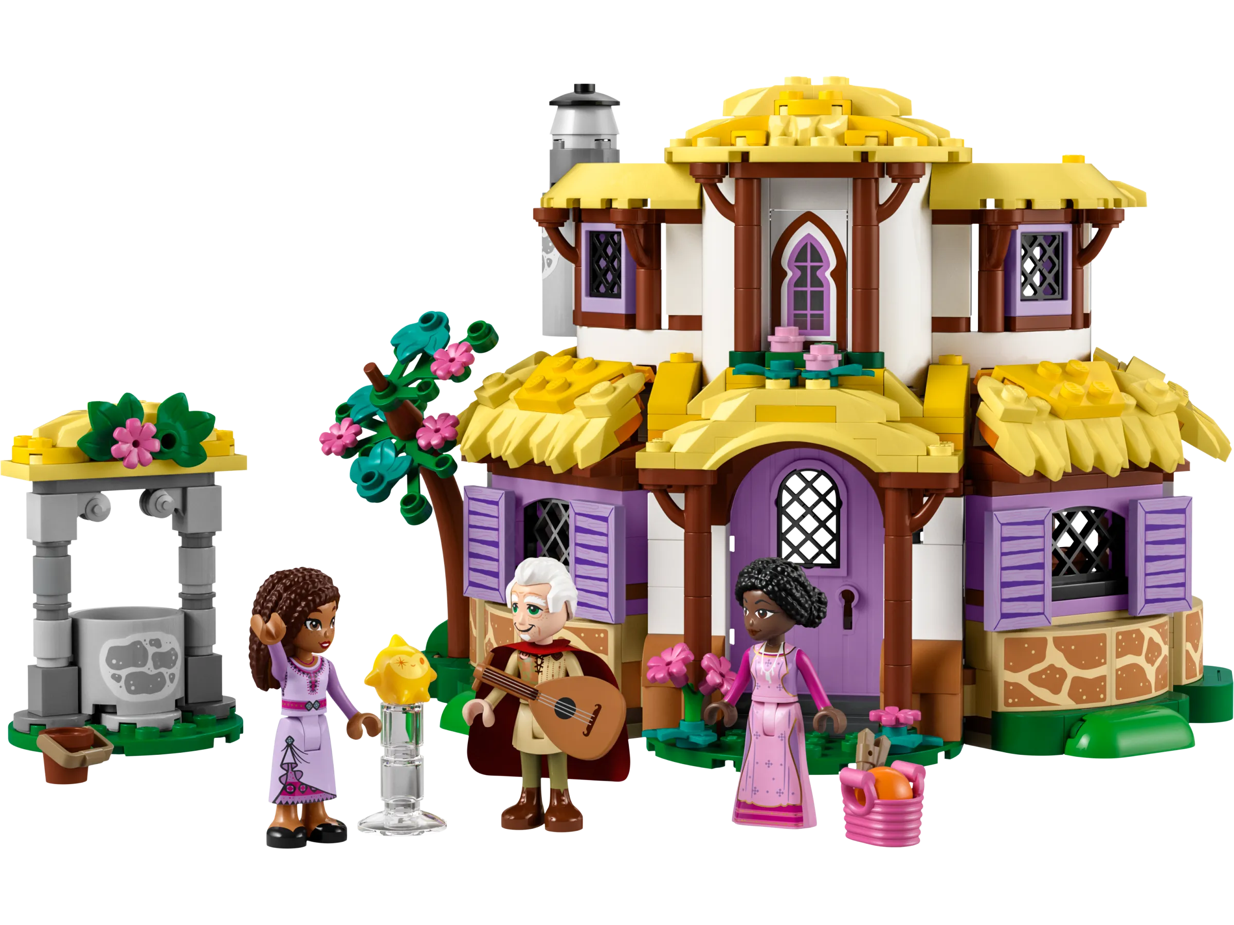 LEGO 43231-1 Asha's Cottage