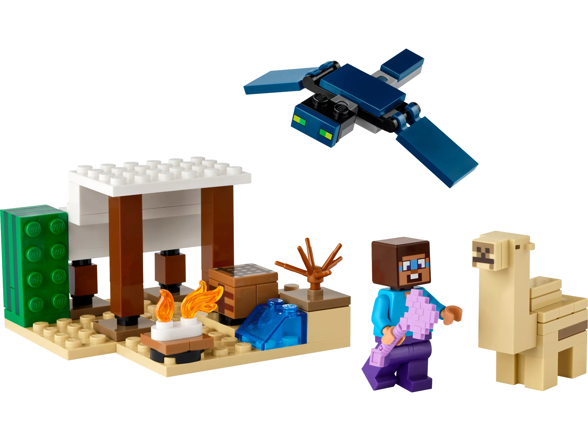 LEGO 21251-1 Steve's Desert Expedition