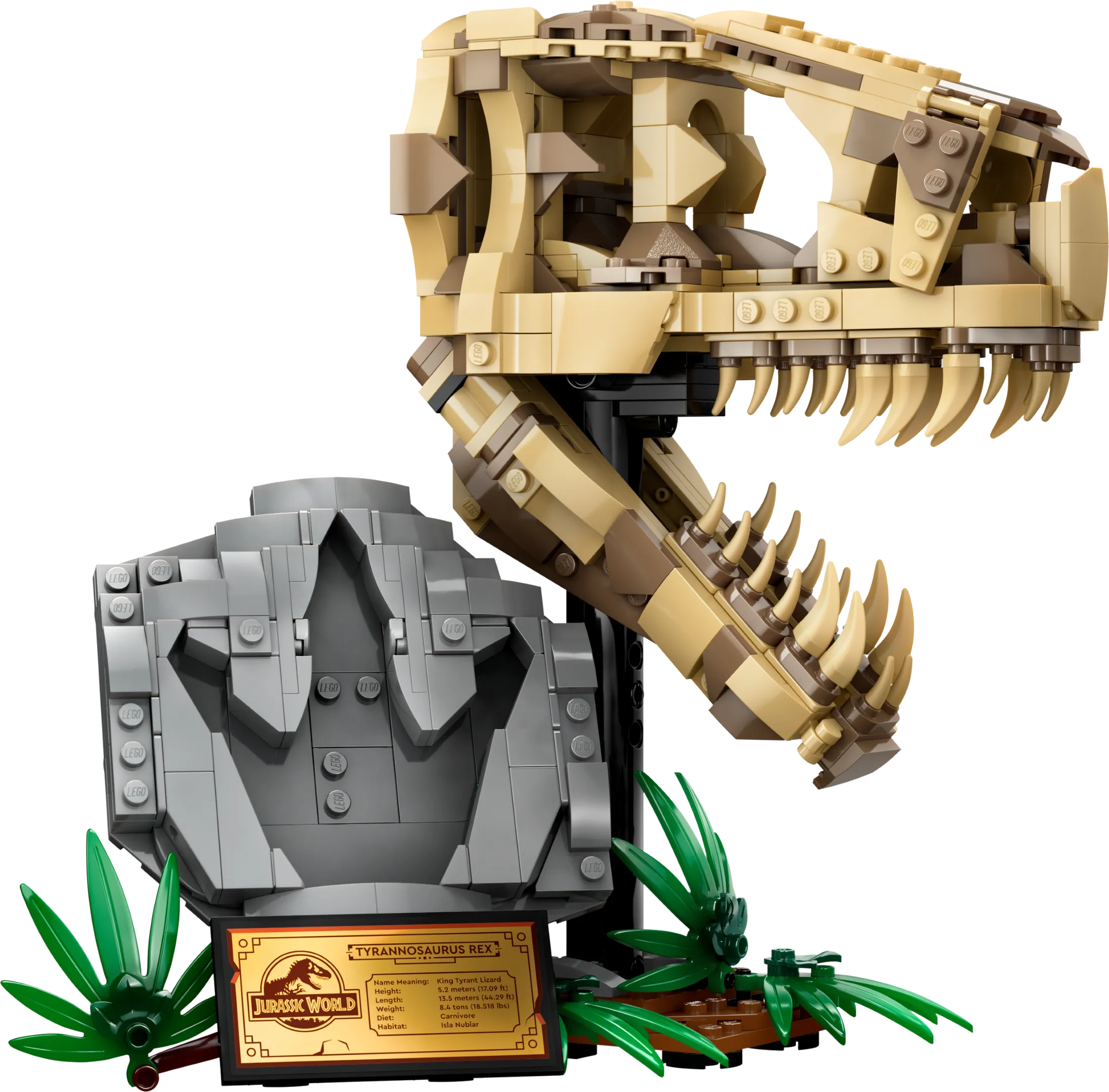 LEGO 76964-1 Dinosaur Fossils: T. rex Skull