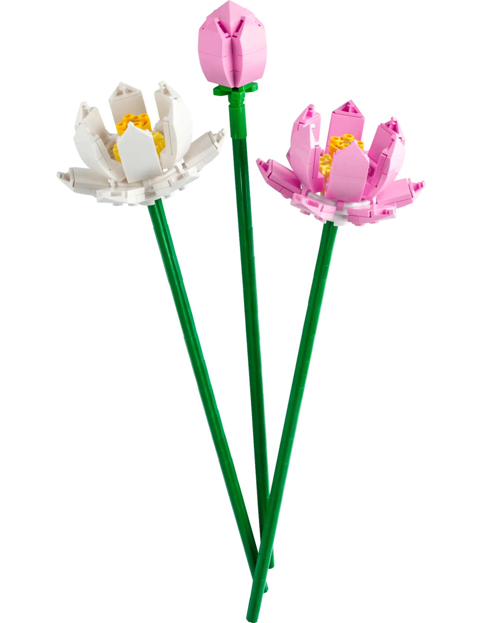 LEGO 40647-1 Lotus Flowers