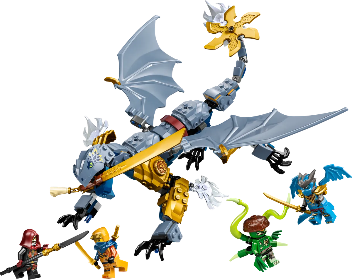 LEGO 71855-1 Ninja Dragon Riyu's Battle