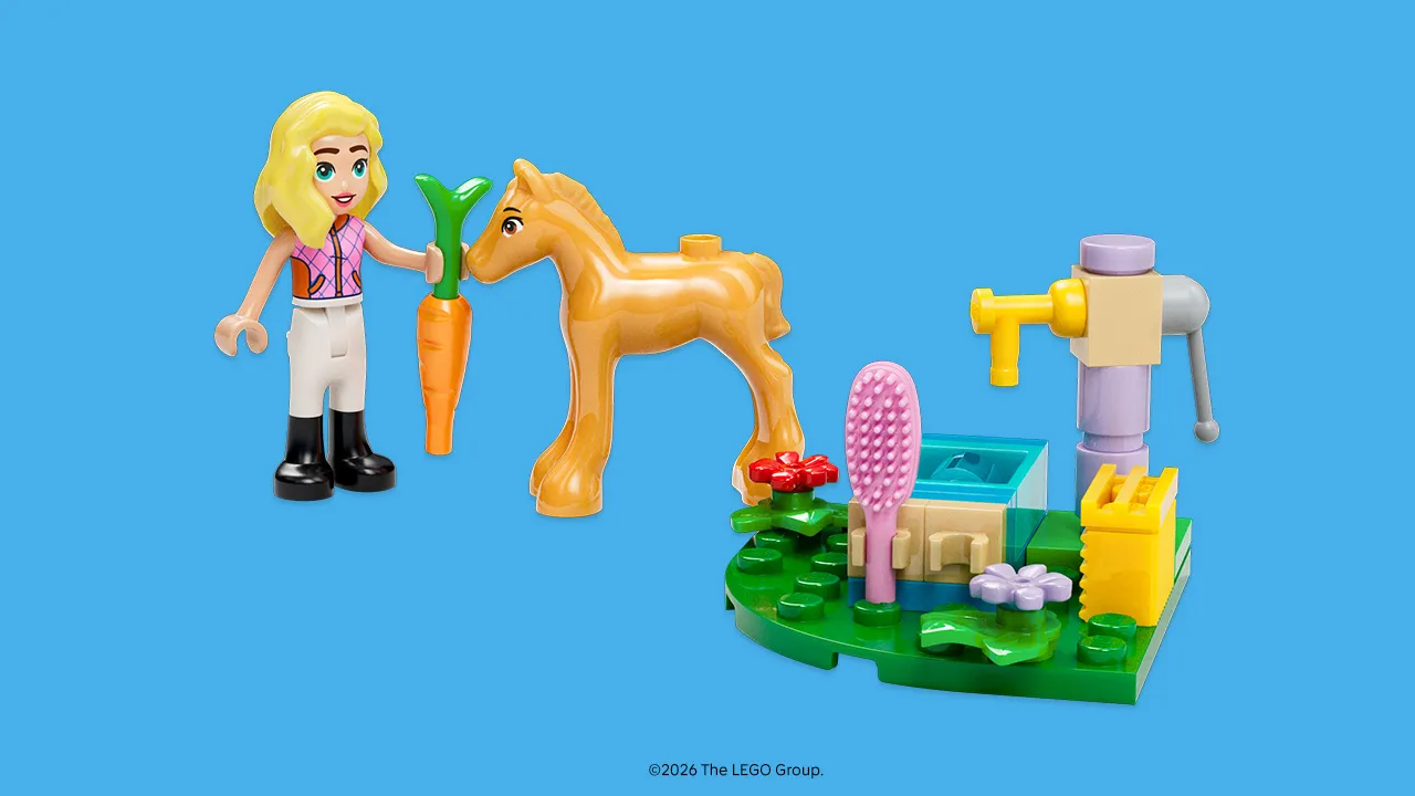 LEGO 6636931-1 First Friendship