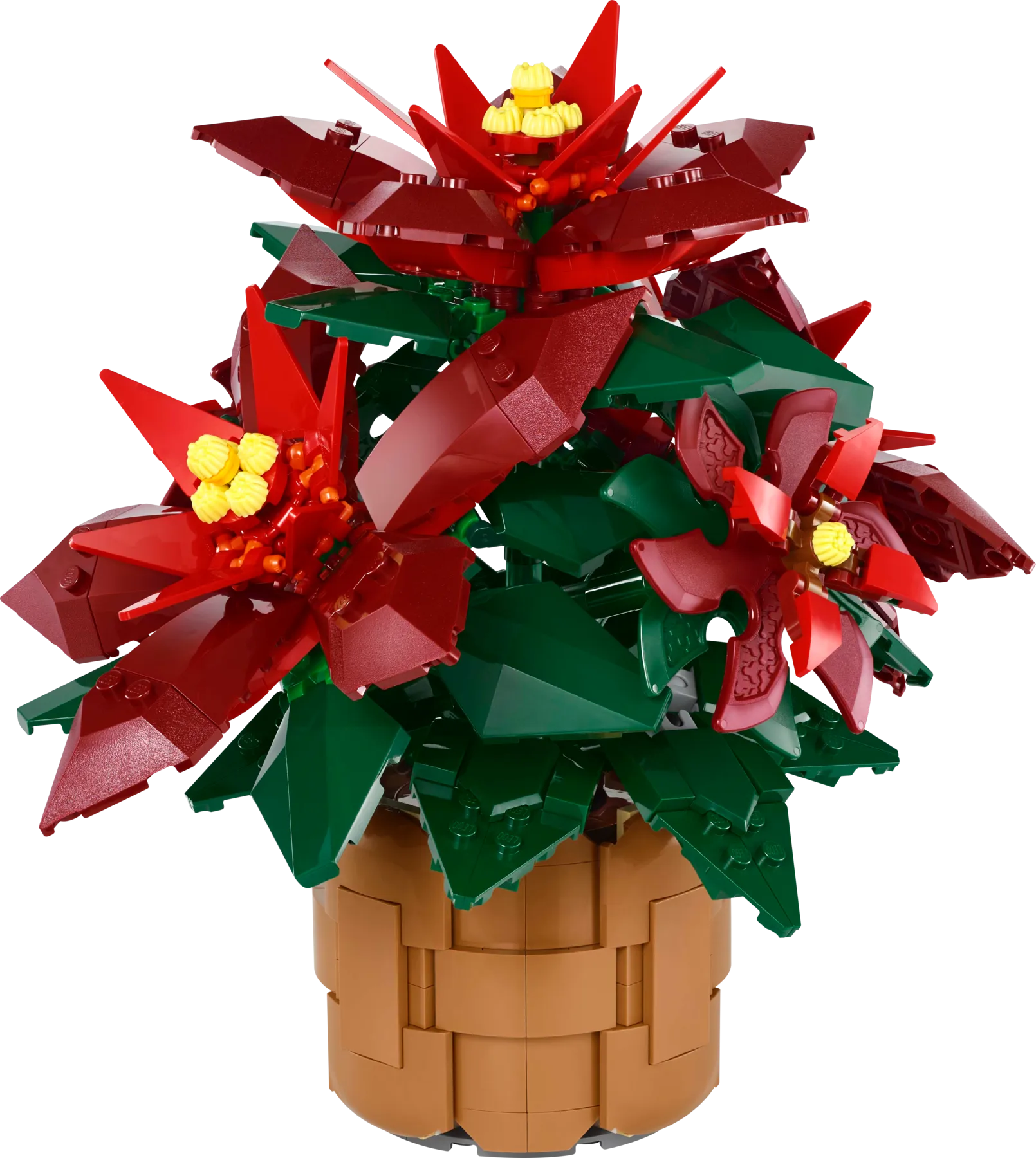 LEGO 10370-1 Poinsettia