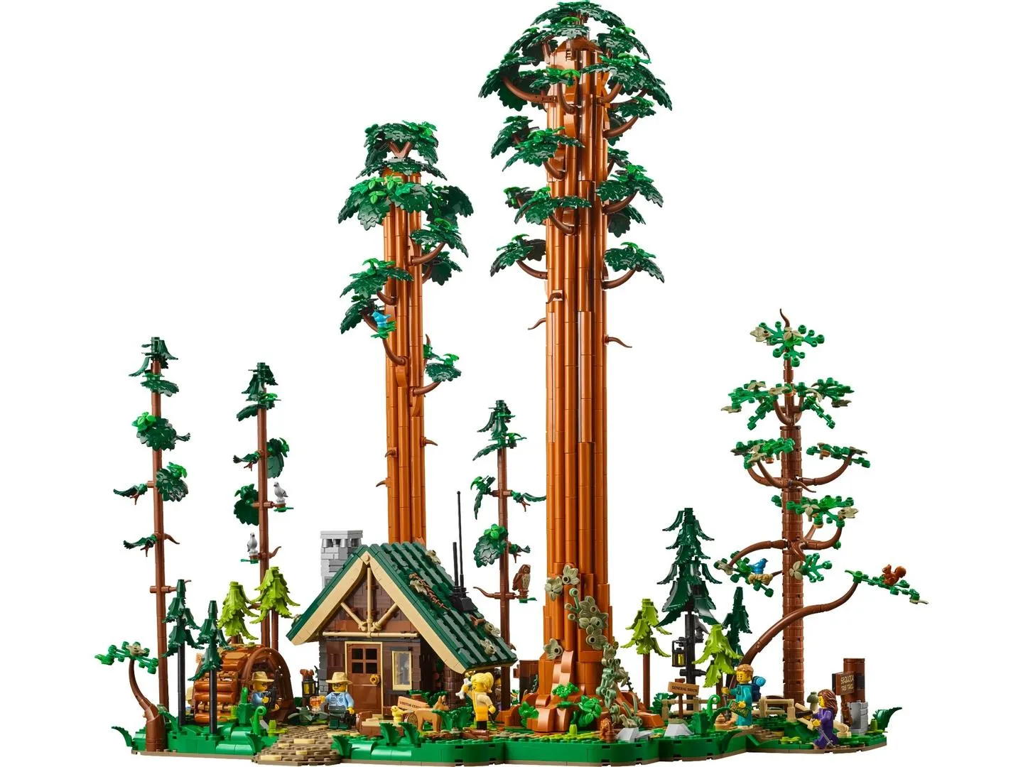LEGO 910058-1 Sequoia Tree Trail
