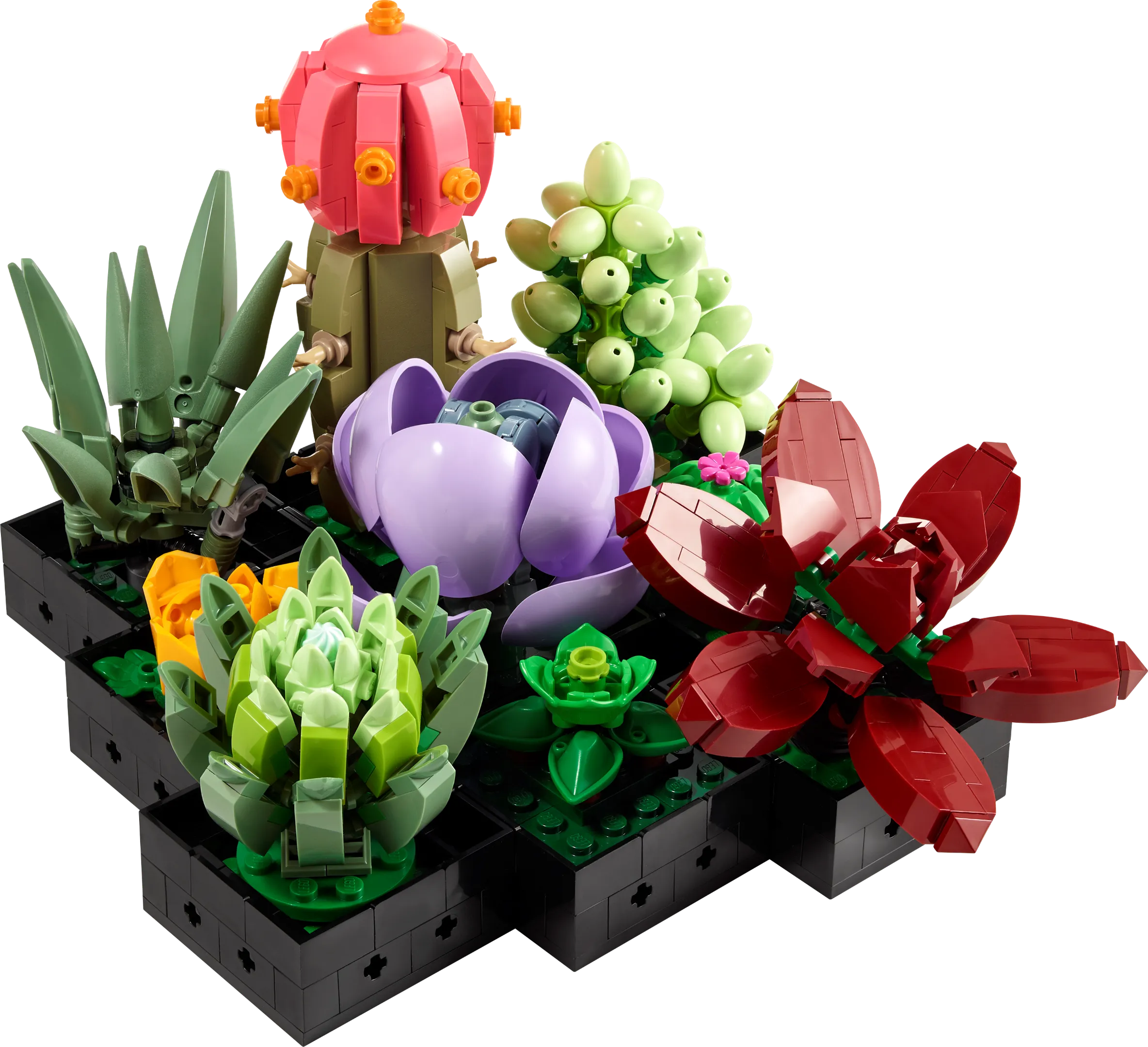LEGO 10309-1 Succulents