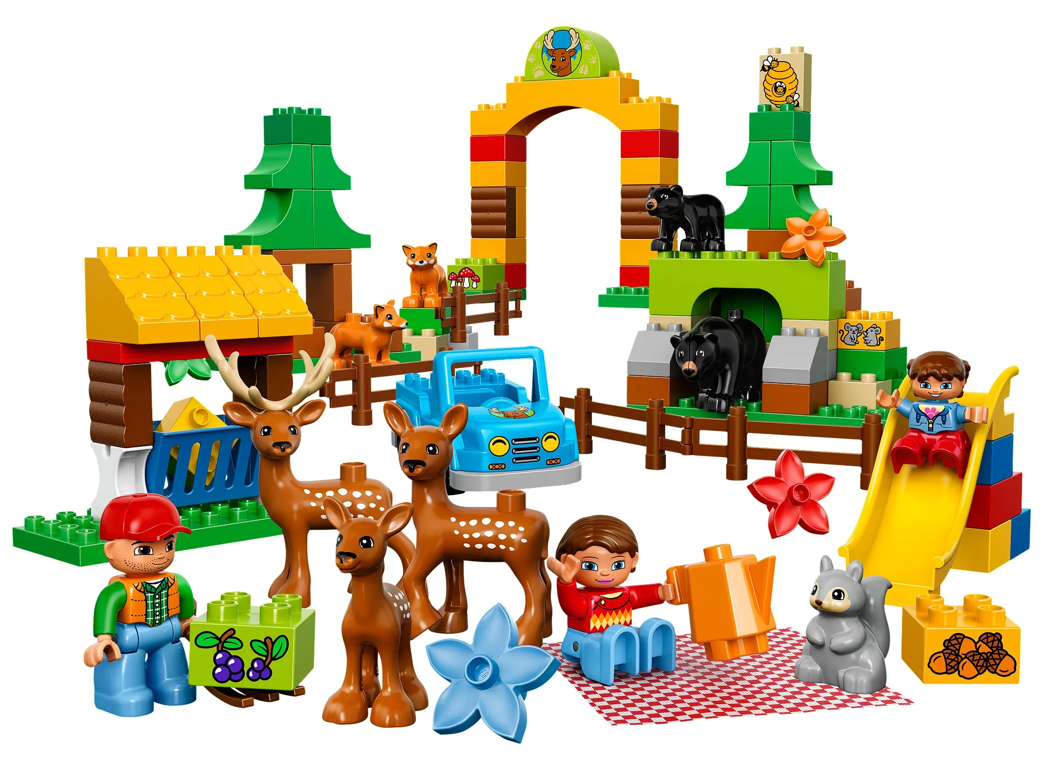 LEGO 10584-1 Forest: Park