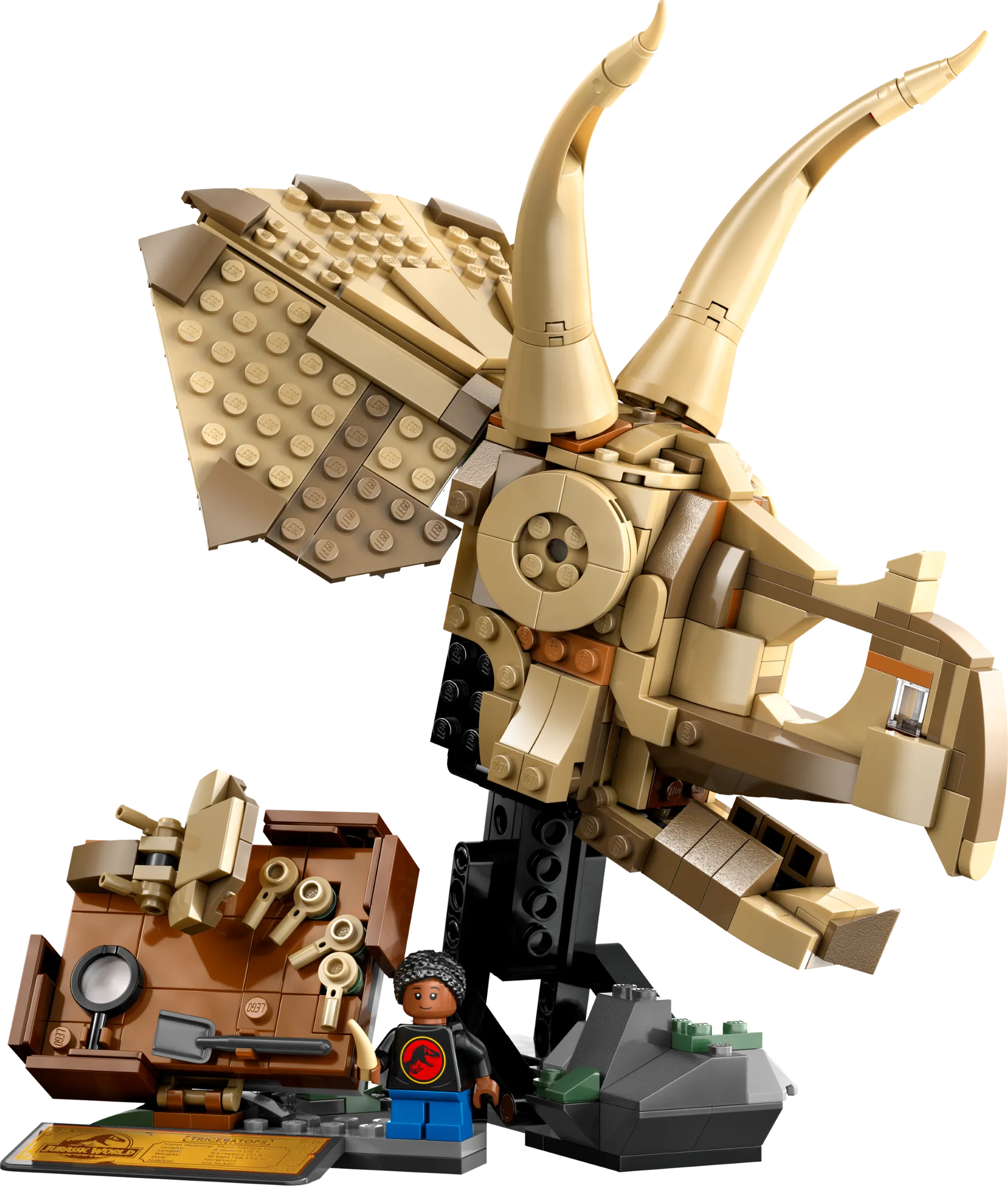 LEGO 76969-1 Dinosaur Fossils: Triceratops Skull