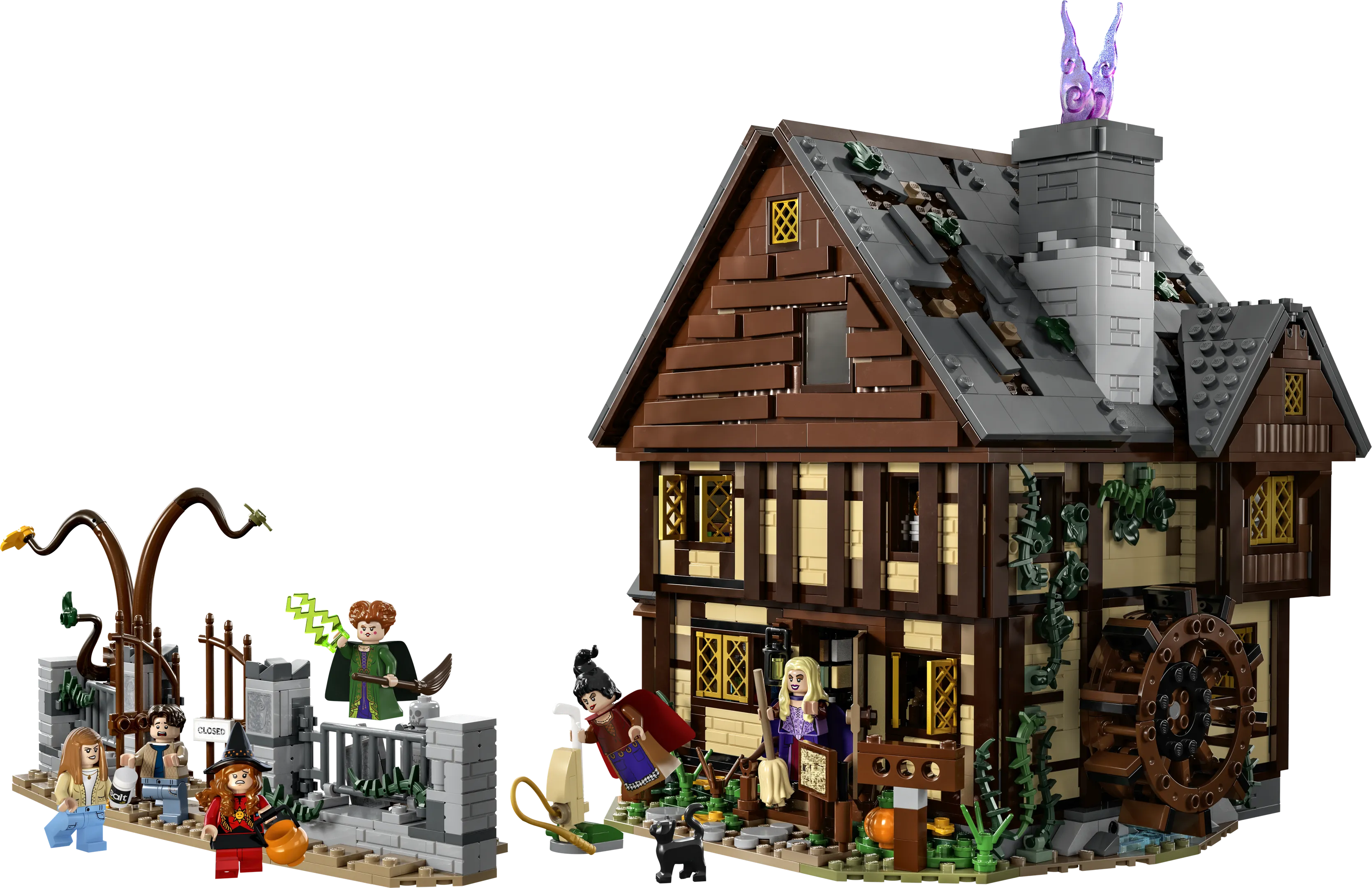 LEGO 21341-1 Hocus Pocus